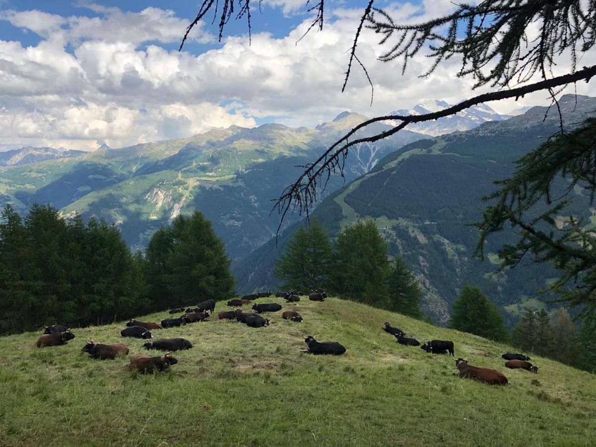 Bergbeiz Morgenrot B&B Embd Экстерьер фото
